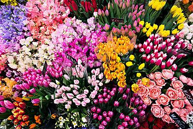 第一人称潜行冒险游戏《黑暗阿特拉斯：地狱》新预告公布 现已提供试玩Demo