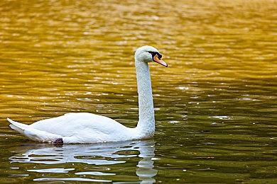 瞄准射击 打碎音符《BEAT AIMER!》大型更新现已上线！